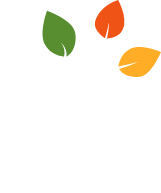 Untangling Our Roots tree image from logo